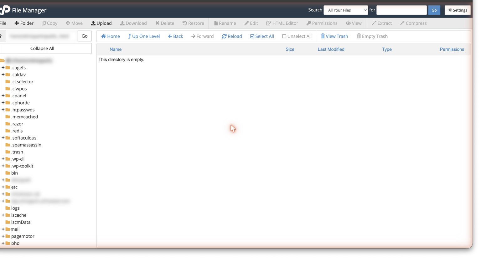 cPanel File Manager showing public_html directory ready for upload