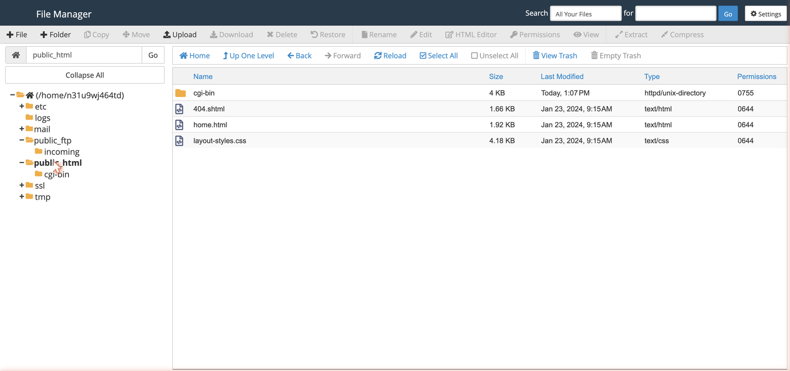 cPanel File Manager with public_html open, ready for upload